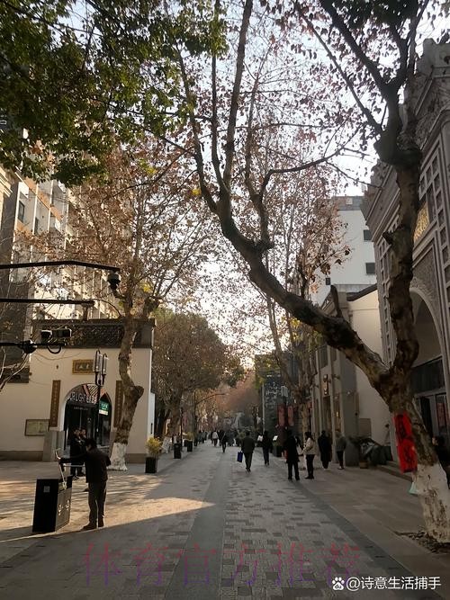 杨瀚森工作室:七天六赛&年轻的肩膀扛得起一场又一场的渴望 杨瀚森工作室:七天六赛&年轻的肩膀扛得起一场又一场的渴望